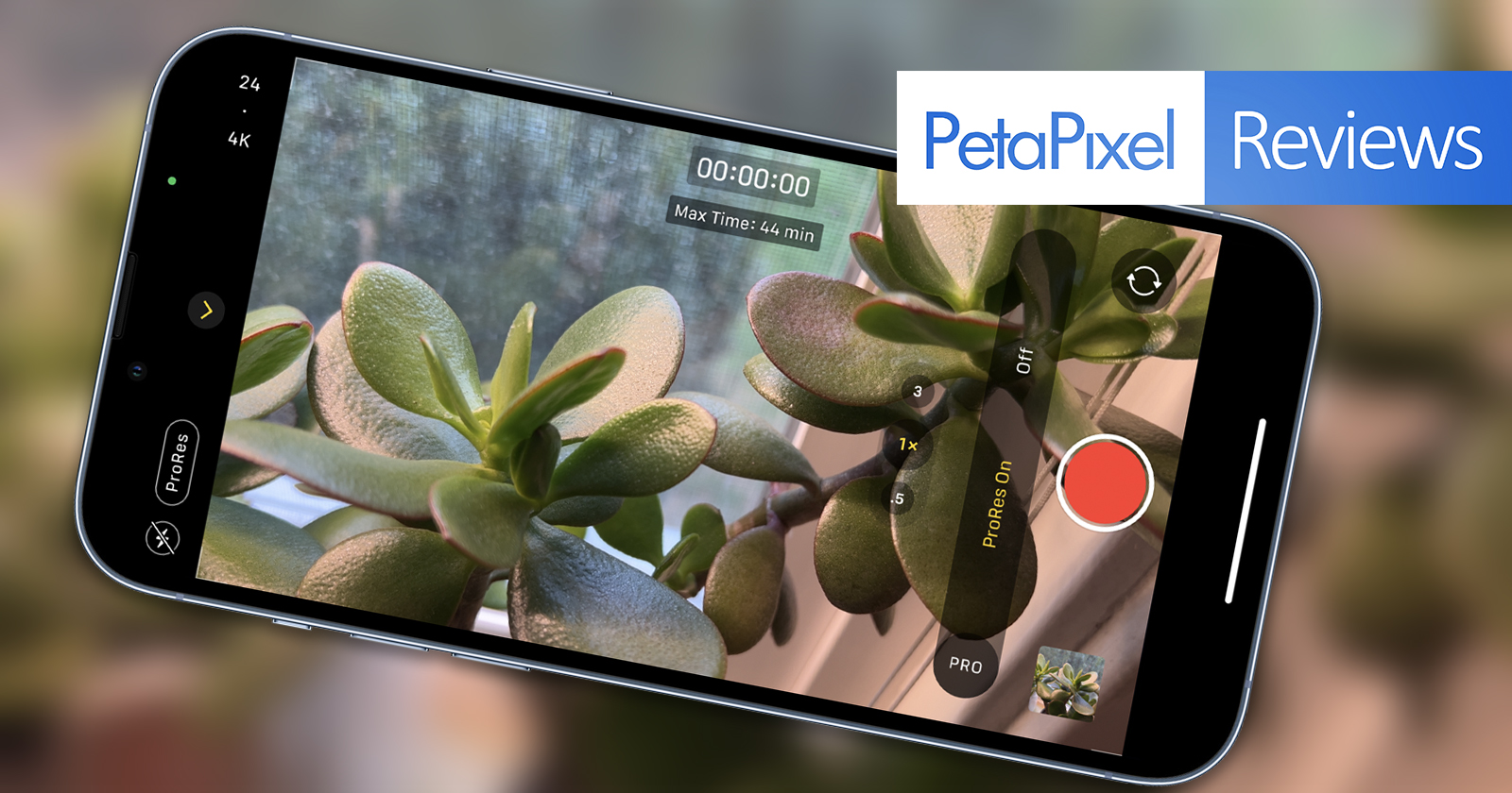 petapixel.com