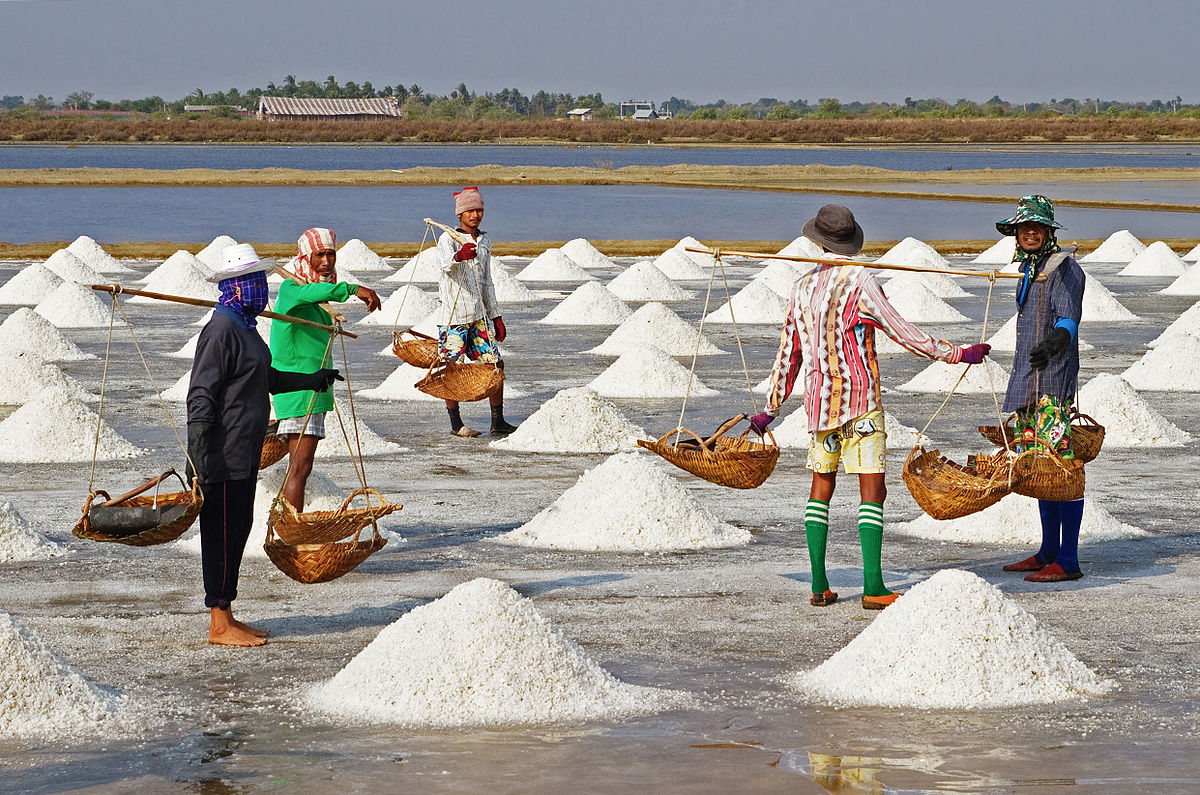 1200px-Salt_Farmers_-_Pak_Thale-edit1.jpg