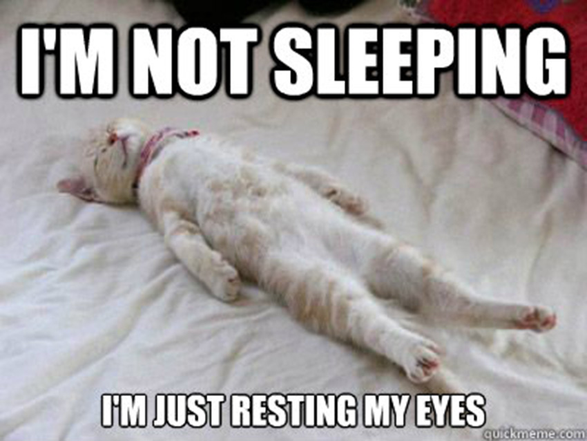 I-Am-Not-Sleeping-I-Am-Just-Resting-My-Eyes-Funny-Meme-Photo-For-Whatsapp.jpg