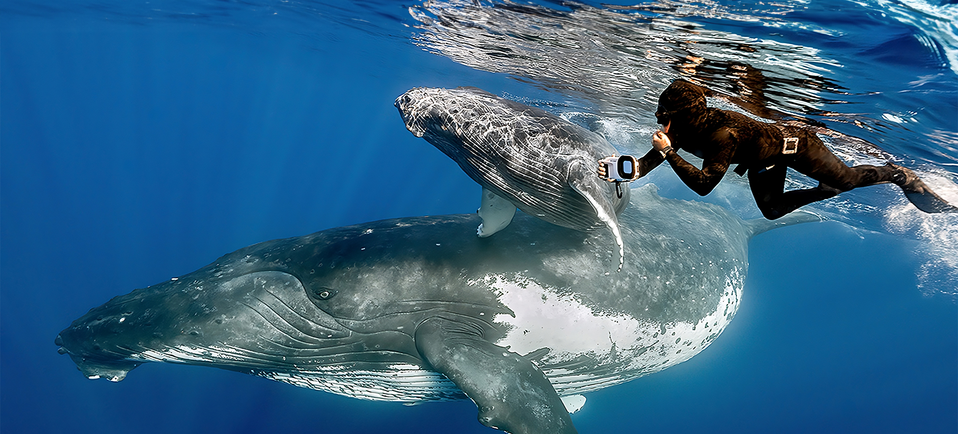 www.oceanicworldwide.com